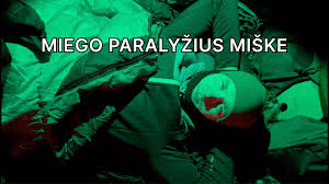 Bushcraftas miške